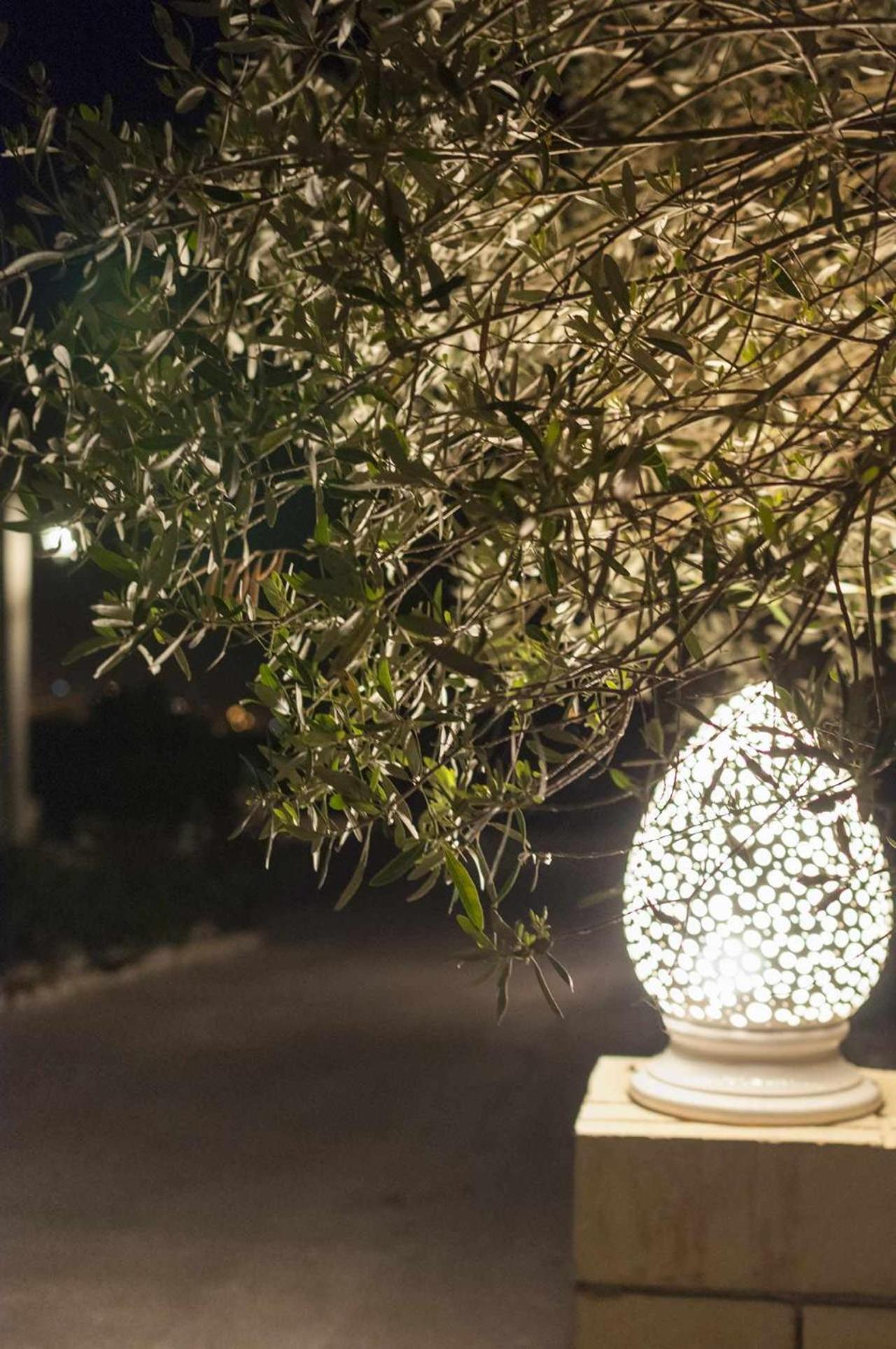 Tenuta Olive Alive Noto Extérieur photo